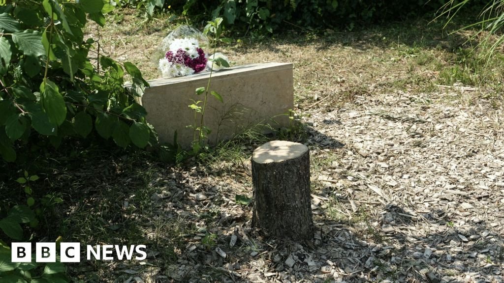 Macron promete punição após oliveira em homenagem a Ilan Halimi ser derrubada nos arredores de Paris - Imagem do artigo