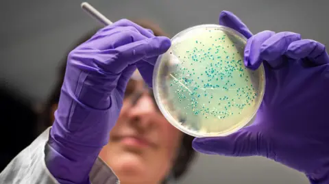 Inteligência artificial cria dois antibióticos promissores contra gonorreia resistente e MRSA - Imagem do artigo original